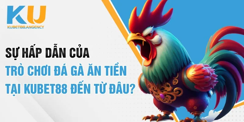 Sự hấp dẫn của trò chơi đá gà ăn tiền tại Kubet88 đến từ đâu?